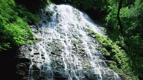 精密高效